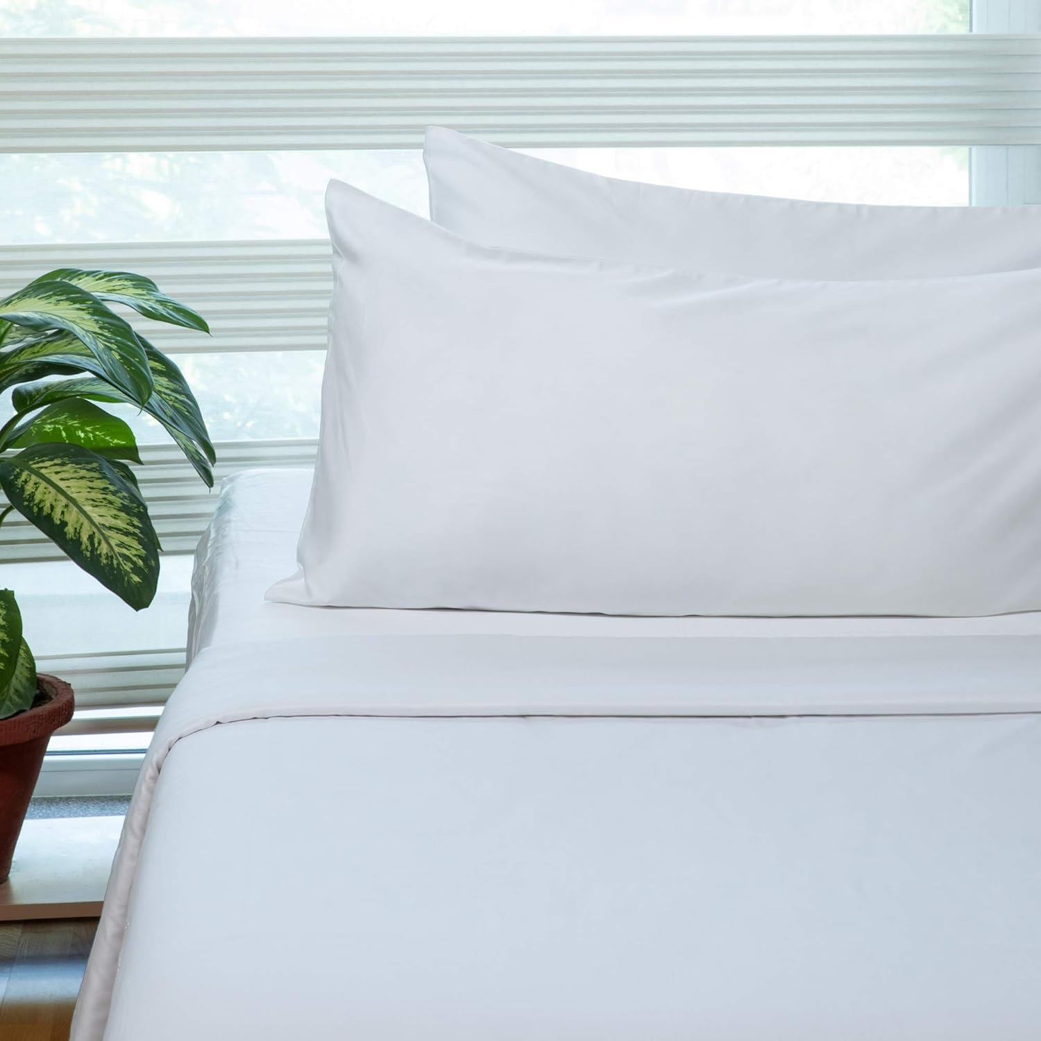 Fabdreams 100% Organic Cotton King Size Sheet Set | 400 Thread Count Sheet Set | GOTS Certified | Long Staple Cotton | Upto 17″ Elasticised Deep Pockets | Soft Silky Shiny | White