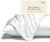 BPC 100% Mulberry Silk Pillowcases 2 Pack, Grade 6A ClimaSilk™ Silk Pillow Cases Queen Size, Both Sides, 600 Thread Count, with Hidden Zipper (20″x30″, White)