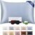 100% Mulberry Silk Pillowcase 22 Momme (SGS Certified) with Free Silk Eye Mask – Luxury Gift-Ready Folded Packaging, Cooling Pillow Cover for Hair & Skin Care (Ash Blue, Standard (1 Pack))