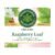 Traditional Medicinals Organic Raspberry Leaf Tea, 16 Tea Bags