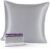 Mulberry Park 100% Silk Pillowcase – 22 Momme, Grade 6A Mulberry Silk – Hidden Zipper Closure with Knife-Edge – Silver/Euro Sham (26” x 26”)