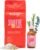 Oilogic Postpartum Bundle 2-Pack Includes Soothe & Sitz Oatmeal Epsom Salt Bath Soak + Hair & Scalp Essential Oil Serum – Pregnancy & Postpartum Care Kit with Natural Formulas for Soothing Relaxation